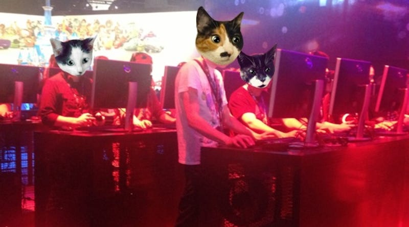 Illustration for article titled What If There Were Tons Of Cats Roaming E3 And No One Noticed?
