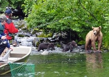 Illustration for article titled Wildlife Alliance Calls Out Sarah Palin For Getting Too Close To Bears