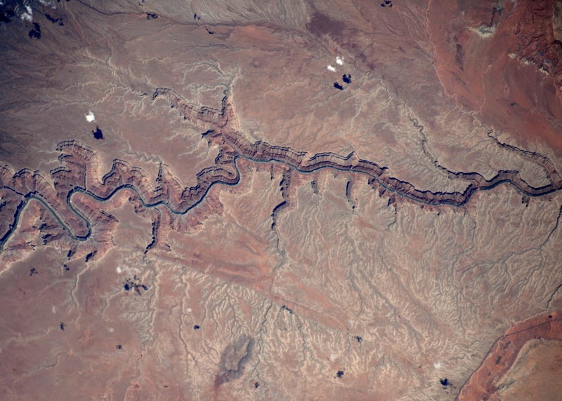 photo of The Colorado River is a Blue Ribbon in the Desert When Seen From the ISS image