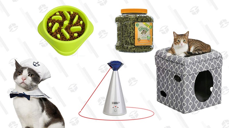 Illustration for article titled If Your Cat Is a Mega Chonk, You Need These 5 Things In Your House