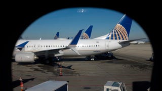 After Puppy Dies in Overhead Bin, United Airlines Mistakenly Sends Different Dog to Japan