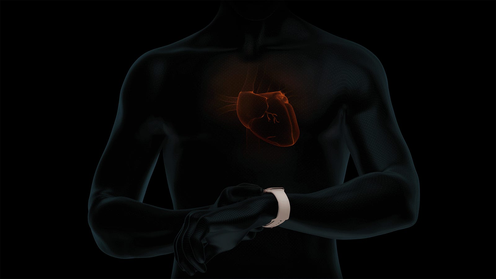 apple watch ecg app release date