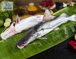 Illustration for article titled Now Buy Best Quality Of Luscious Bengali Fresh Fish Online On A Click