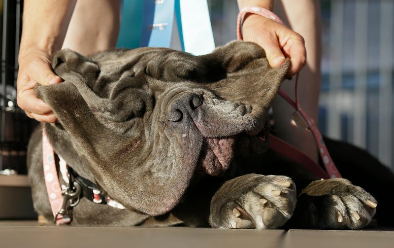 Eric Risberg/AP Images