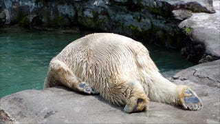 Illustration for article titled This Is What It’s Like To Be Hungover At 34