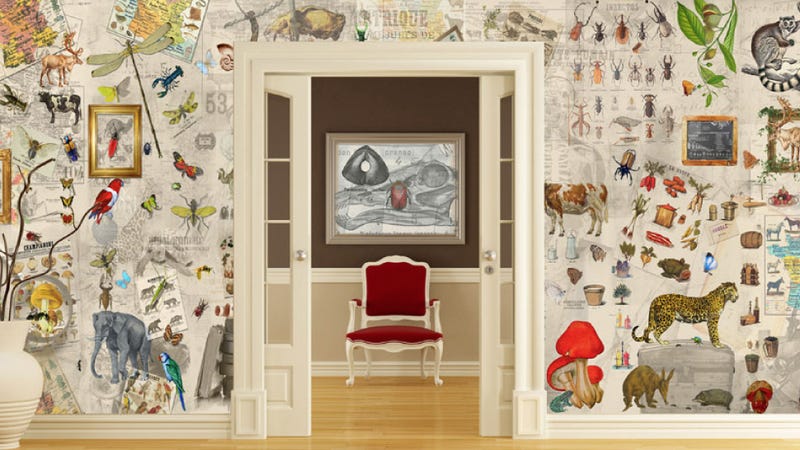 This Wild Wallpaper Turns Your Home Into A Natural History Museum Ever Had The Urge To Turn Your Home Into A Life Sized Curiosity Cabinet Would You Love Surround Yourself With Full Scale Lions Oversized Insects