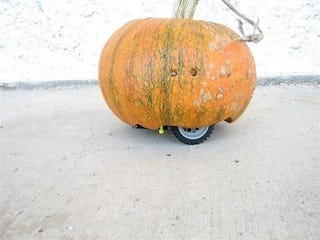 Illustration for article titled Scare the Crap Out of Trick-or-Treaters With a Rovin' Pumpkin