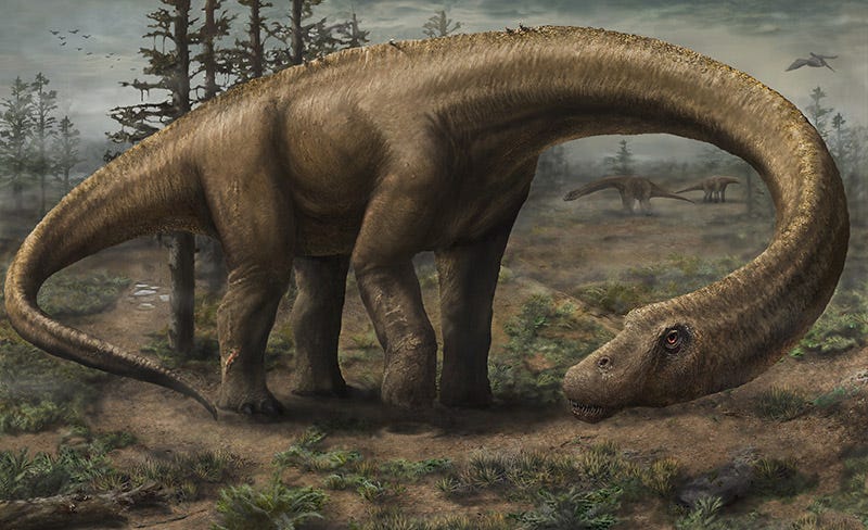 Illustration for article titled io9 'Shop Contest: Dreadnoughtus Edition