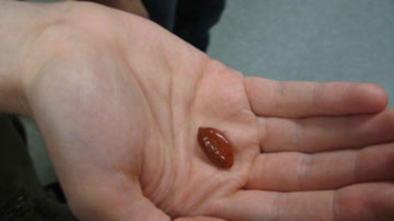 Illustration for article titled Taste Test: "Miracle fruit"