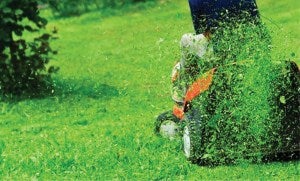Illustration for article titled Hiring a Specialist Lawn Service