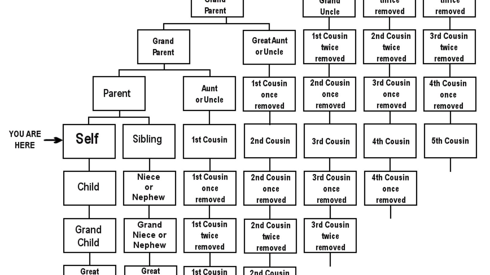 "Second Cousins," "Once Removed", and More Explained in Chart Form