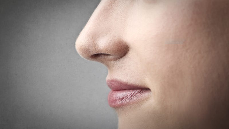 Illustration for article titled Scientists Successfully "Erase" Fear Using Scent Therapy