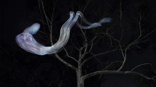 Illustration for article titled Ghostly Lightpainting Uses a Cross-Sectioned Video of an Executed Convict's Body as Light Source