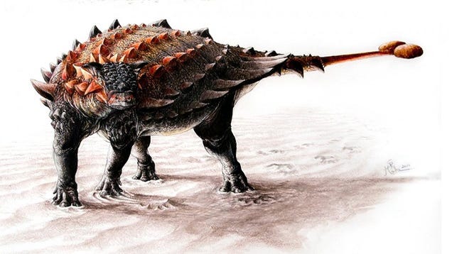 dinosaurs with clubs on their tails