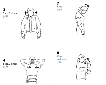 Hourly Desk Stretches Relax Your Brain and Body