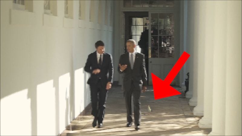 Illustration for article titled Eerie: This Compilation Proves That A Lone Seagull Has Been Following Obama Everywhere For Years