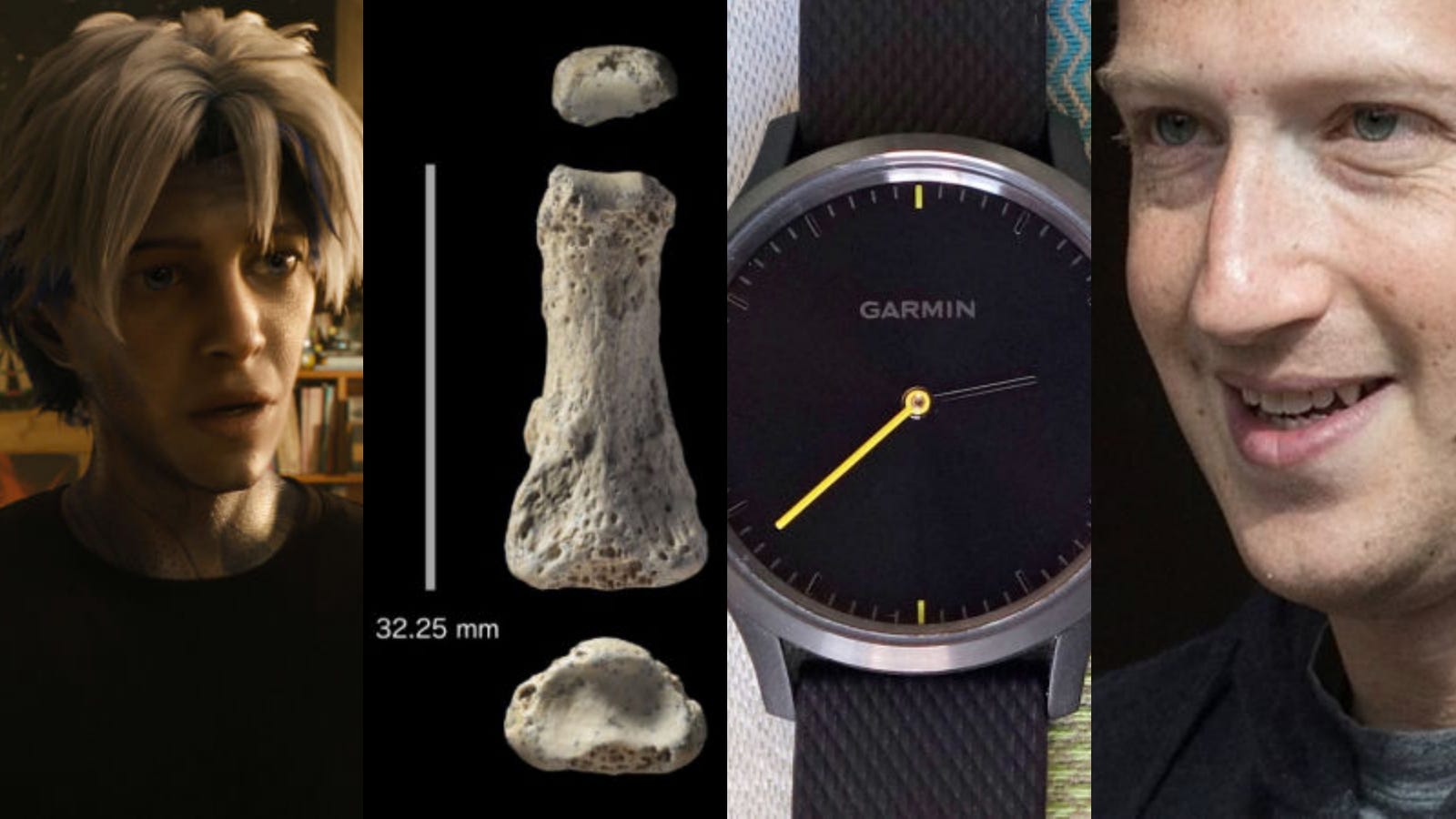 Giant Ocean Lizards, the Dumbest iPhone Case, and the Rapture: Best Gizmodo Stories of the Week
