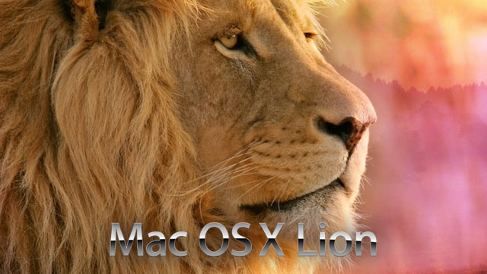macos lion update macos lion update