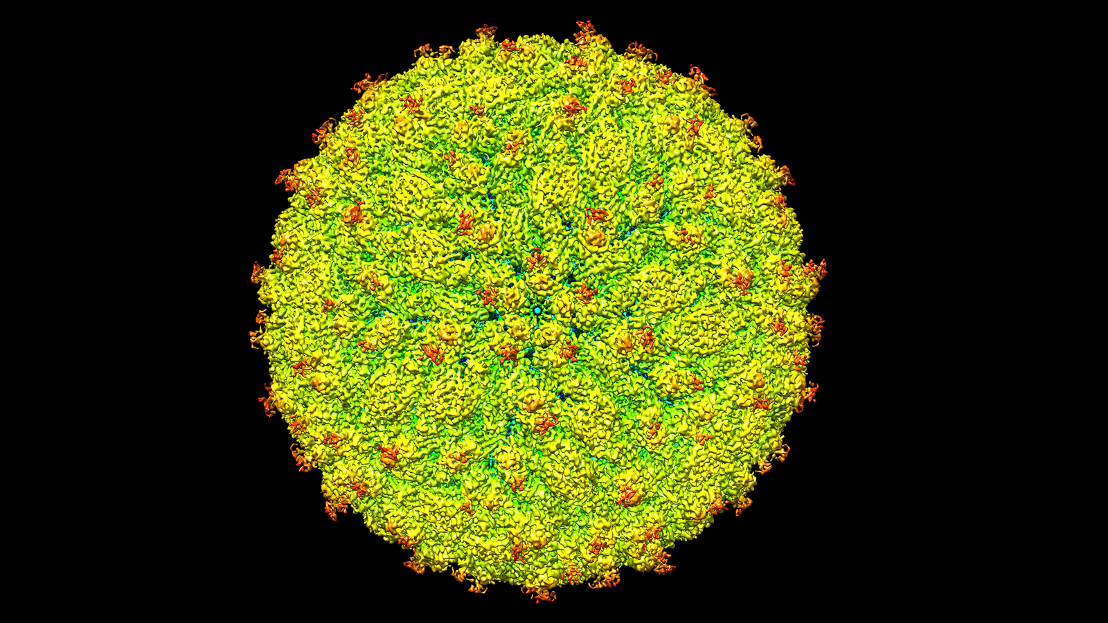 How Astonishing Zika Virus Images Were Made With A Nobel Prize Winning Technique 9170