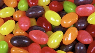 Illustration for article titled The Next Version of Android After Ice Cream Sandwich Will Be Called Jelly Bean
