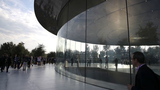 Apple's Excellence in Design Leads to Employees Smacking Into Glass Walls