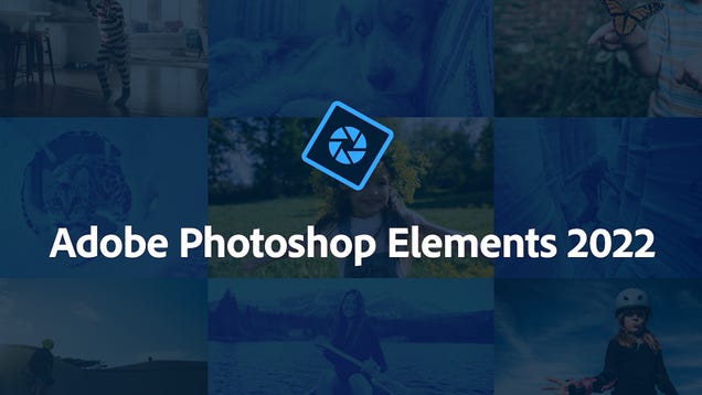 10 Tips To Make You a Photoshop Elements Expert