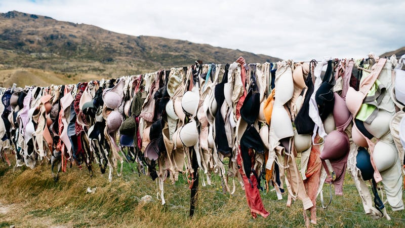 Illustration for article titled Hey, Maybe Wash Your Bra Every Once in a While?
