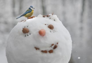 Illustration for article titled Comment of the Day: Snow Zombie Edition