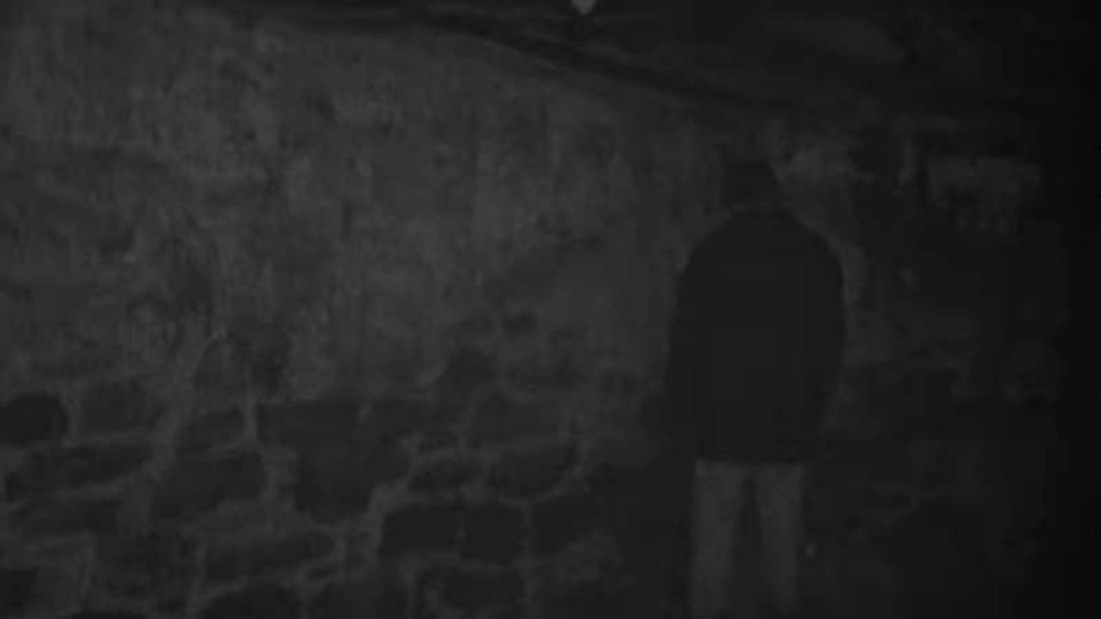 The Blair Witch Project almost had a much less subtle ending