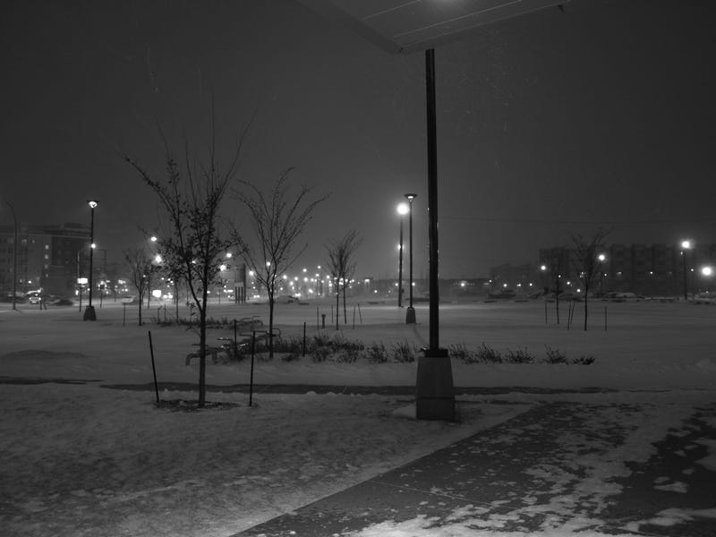Shooting Challenge Gray Winter