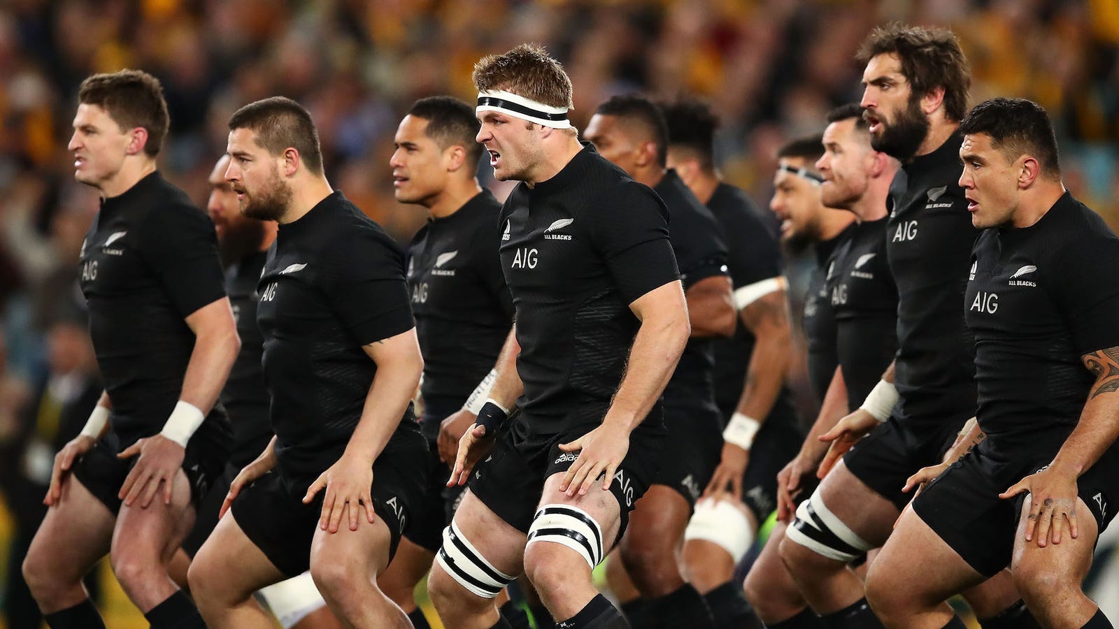 Who Bugged The New Zealand Rugby  Team 
