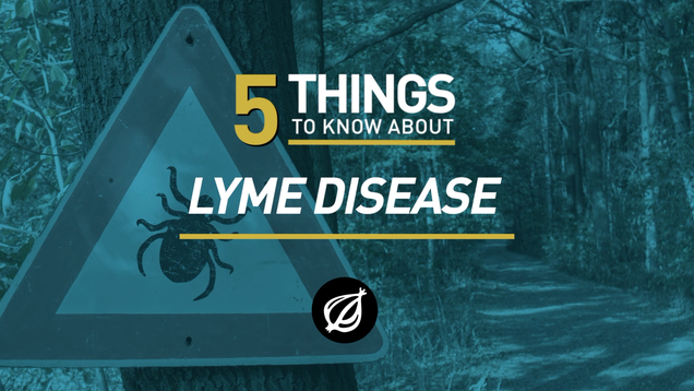 5 Things To Know About Lyme Disease