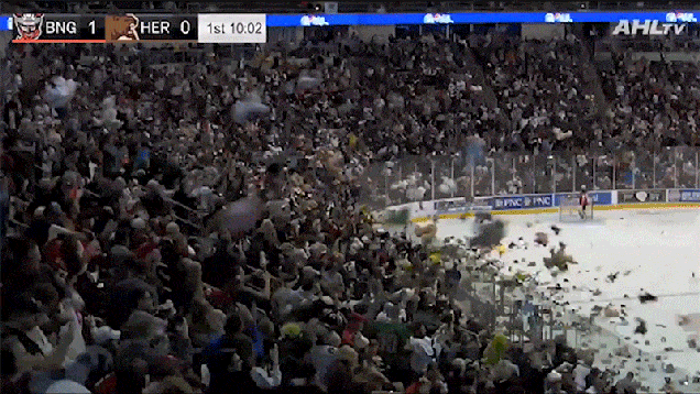 x2lggnvxcr5q7jrikfyz.gif