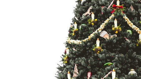 why real christmas trees are better than fake ones why real christmas trees are better than fake ones
