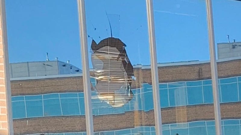 Illustration for article titled Turkey Vulture Flies Through Stephen A. Smith's Office Window In Attempted Bird-On-Bird Violence