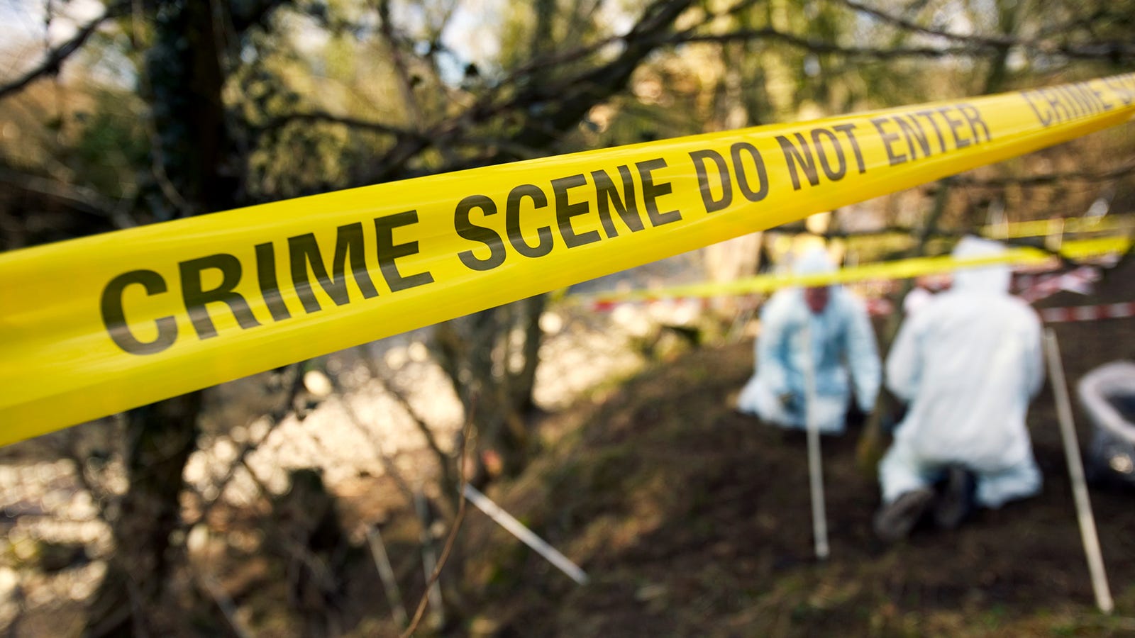 Investigation Of A Crime Scene