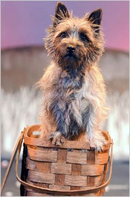 Illustration for article titled Every Dog Has His Day