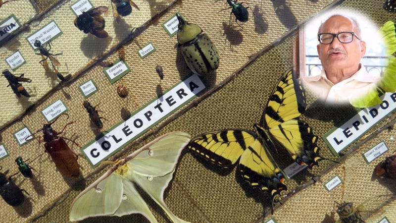 Illustration for article titled How do you pursue a Career in Forest Entomology?