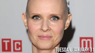 Illustration for article titled Cynthia Nixon Assures Concerned Parties Bisexuality Isn't a Choice