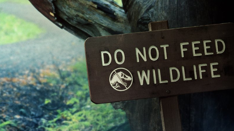 Watch out for hungry dinos at Big Rock.