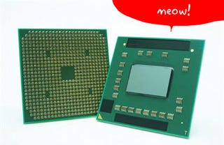Illustration for article titled AMD's Puma Platform Officially Pounces, But Can It Pwn?
