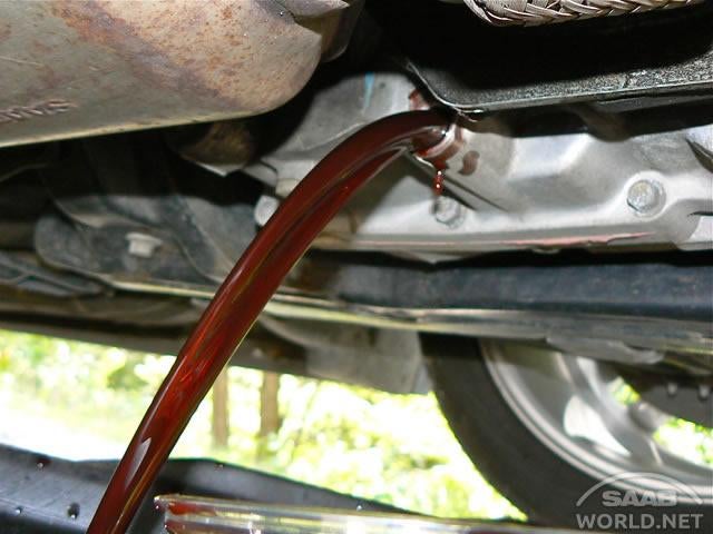 How to change manual transmission fluid ford focus #2