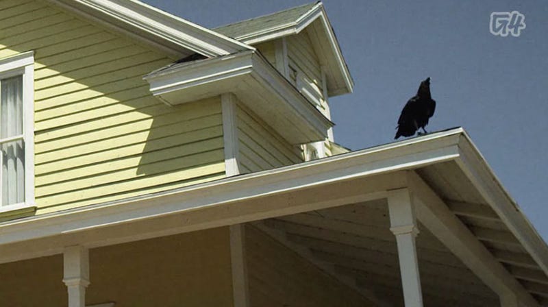 Illustration for article titled This Angry Birds Horror Movie is Awesome