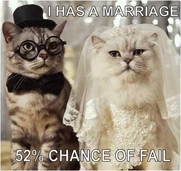 Illustration for article titled Marriage: Not The Singular Goal Of All Womanity