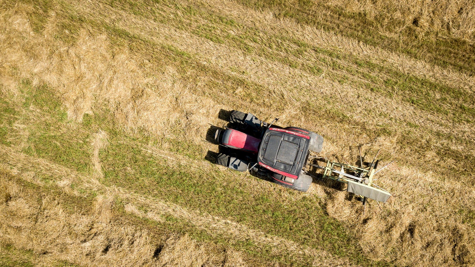 Farmers and Ranchers Just Came Together to Support the Green New Deal