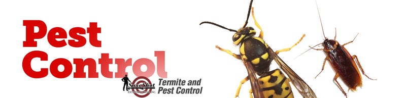Illustration for article titled Pest Control For Bed Bugs