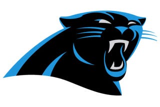 Image result for panthers logo