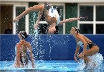 Illustration for article titled Swimmers Swoon Simultaneously; Brady Bunches Are Bad For Offspring