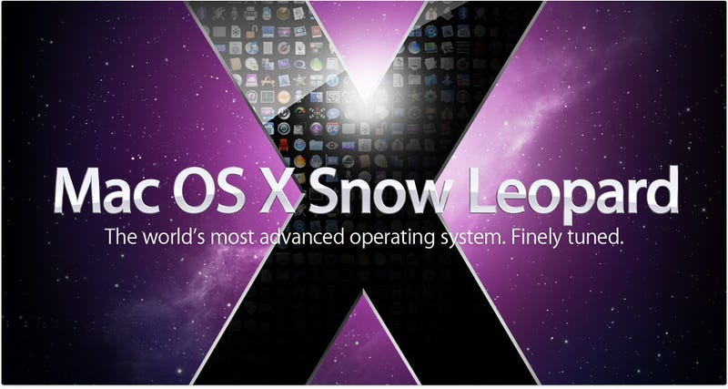 Everything You Need to Know About Snow Leopard