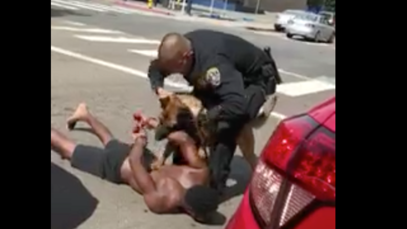 Brutal Viral Video Shows Police Dog Mauling Black Man - The Root